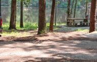 The Perfect Day Spent Camping: Fishing In A Pond