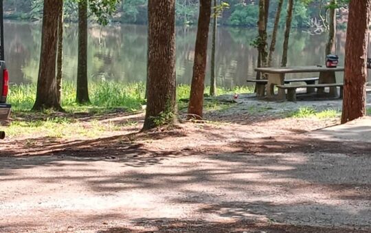 The Perfect Day Spent Camping: Fishing In A Pond