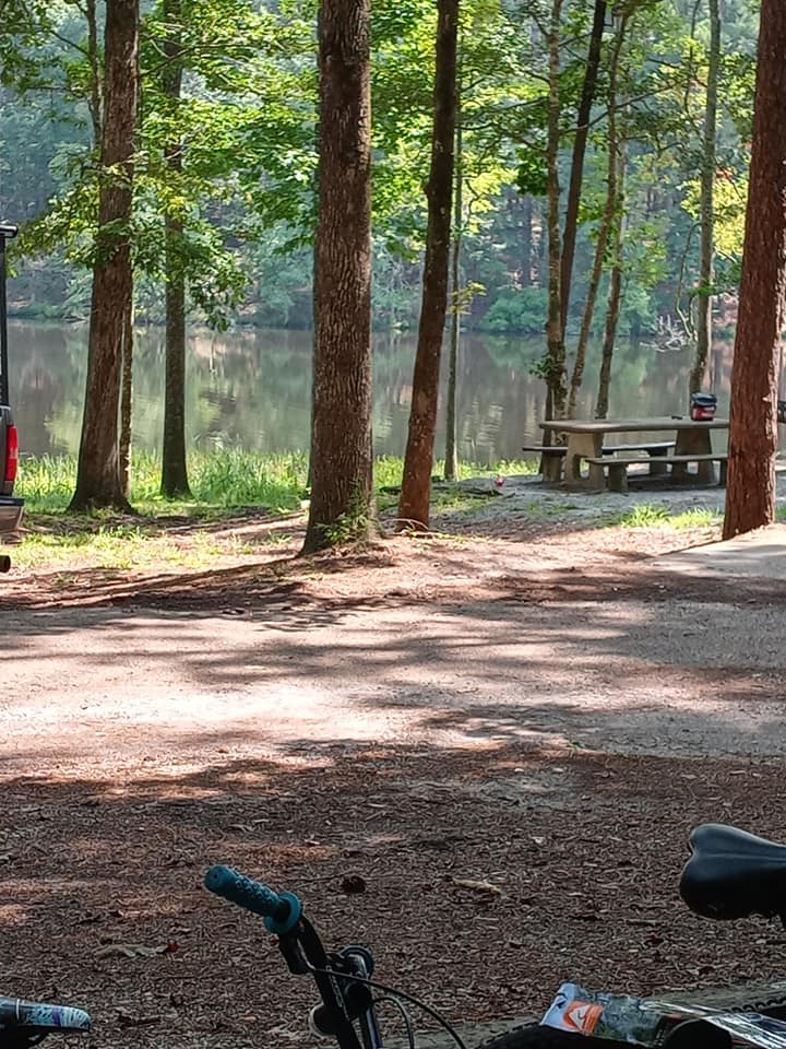 The Perfect Day Spent Camping: Fishing In A Pond