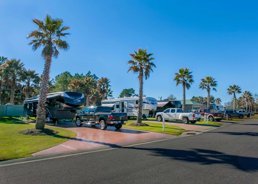 Row of Alabama luxury rv resort cement pads with palm trees, each occupied by a luxury RV