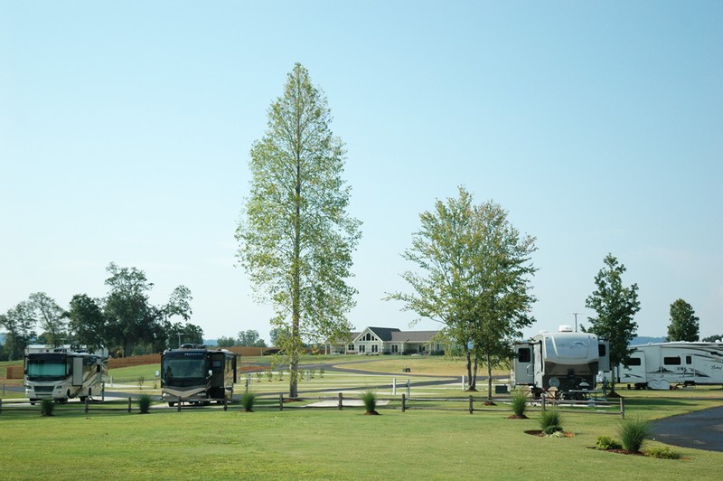 Scene of green grass, trailers and motorhomes. There are trees in the middle.