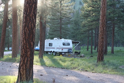 camper in the woods 