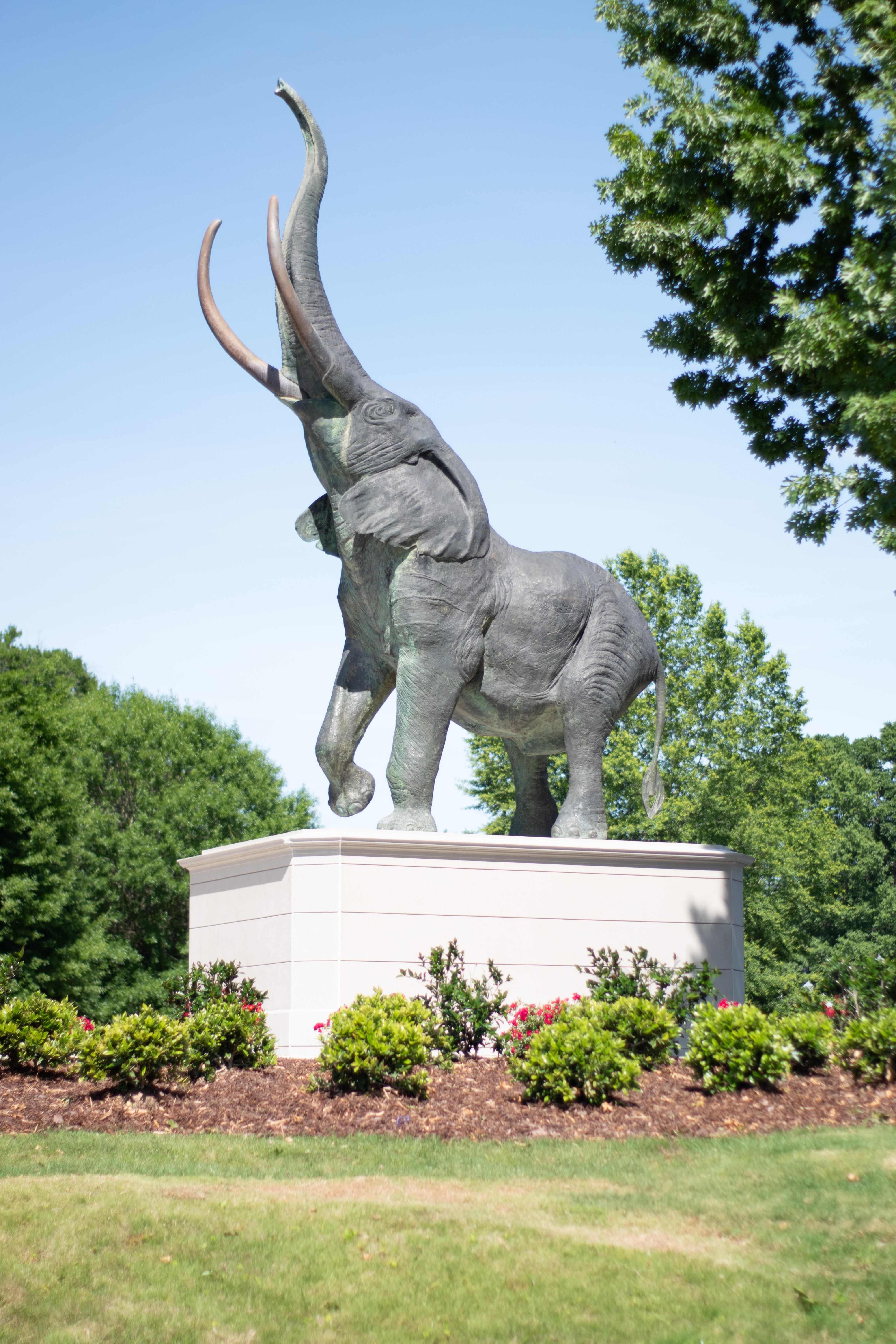 Statue of the University of Alabama mascot in Tuscaloosa