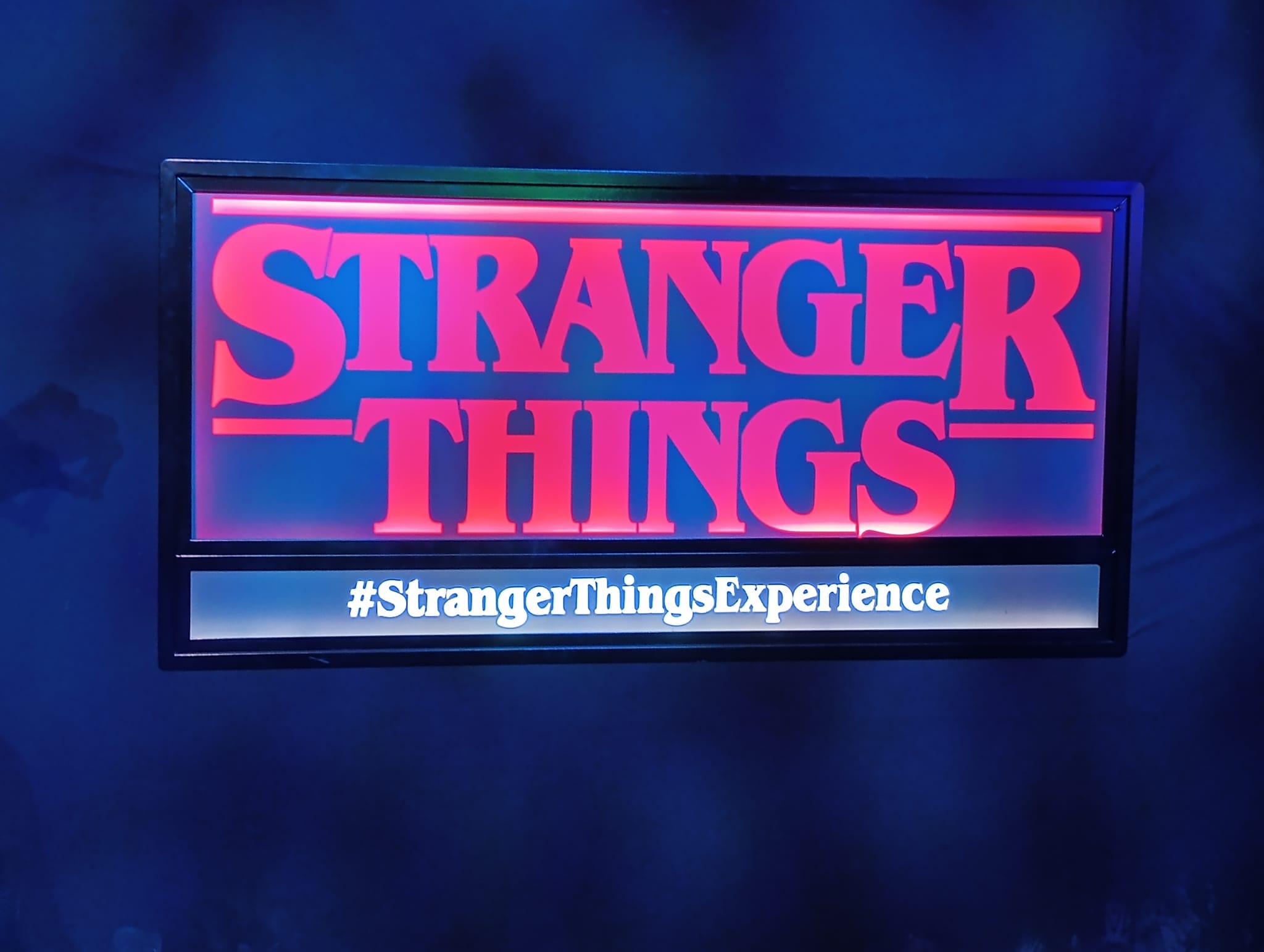 Step into the Upside Down: The Stranger Things Experience